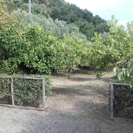 Bed & Breakfast Il Giardino Di Zefiro 3*