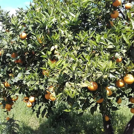 Il Giardino Di Zefiro فندق مبيت وإفطار 3*