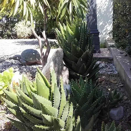 Il Giardino Di Zefiro 3* جويوزا ماريا